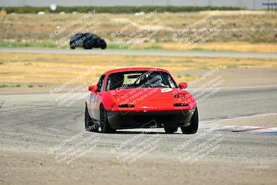 media/Jul-27-2024-Speed Ventures (Sat) [[14cea0cda4]]/Purple/Cotton Corners 1250pm/